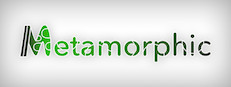 Metamorphic 게임 이미지