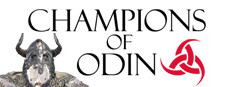 Champions of Odin 게임 이미지