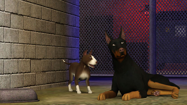 скриншот The Sims 3 Pets 1
