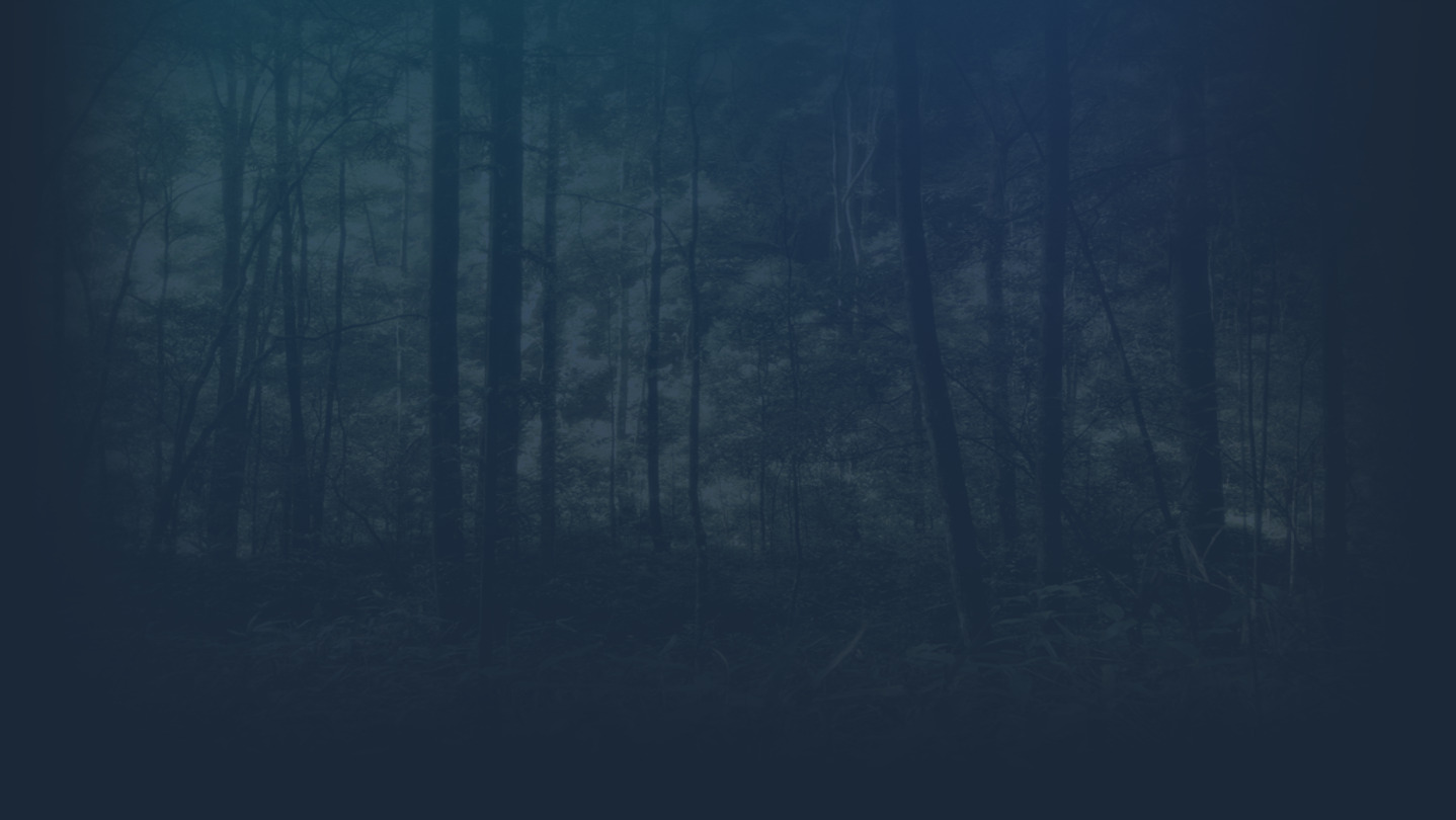 Potato Thriller background