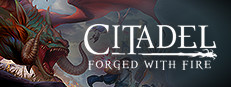 Citadel: Forged with Fire