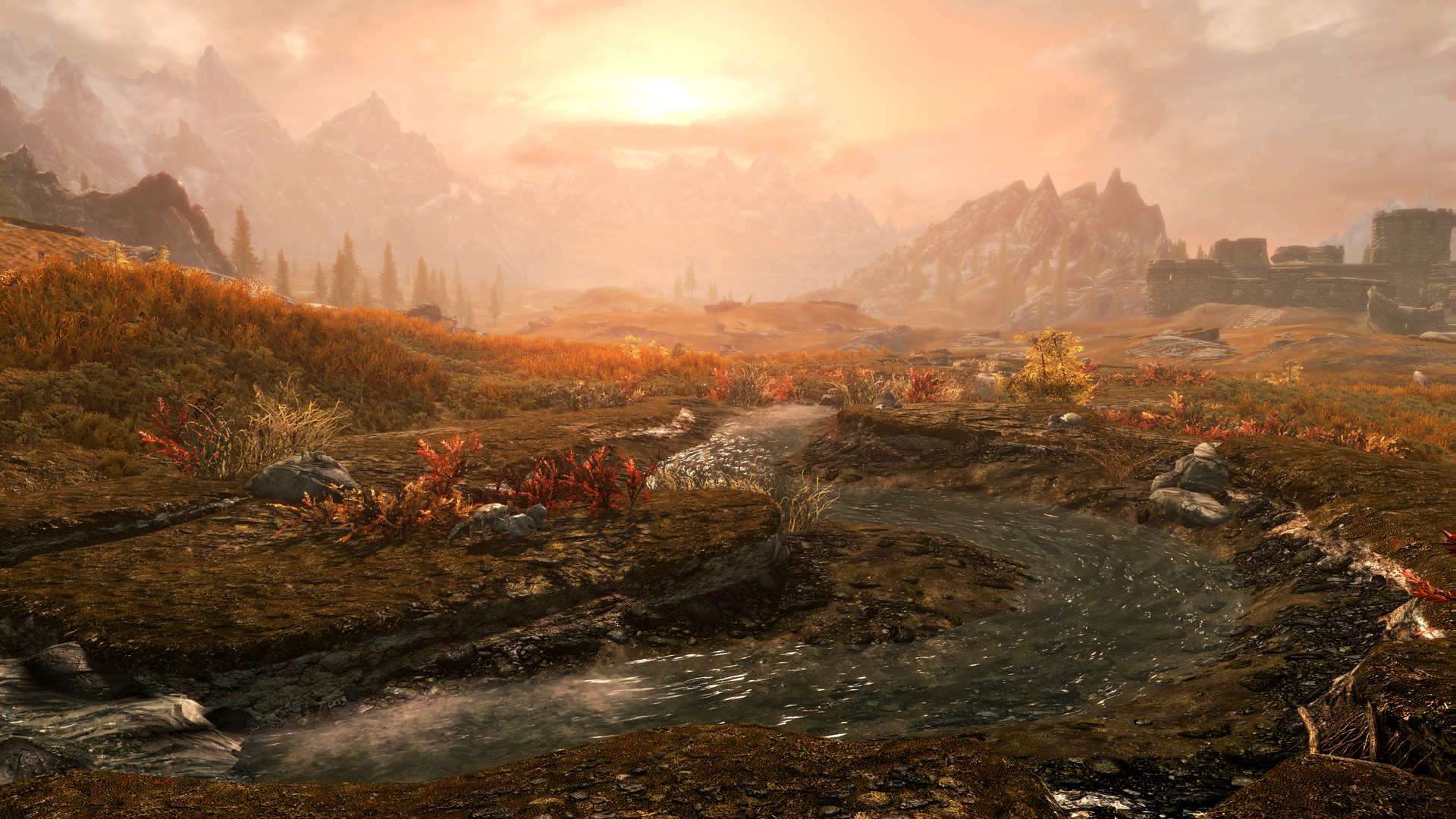 The Elder Scrolls V: Skyrim, Elder Scrolls