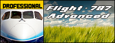 Flight 787 - Advanced 게임 이미지
