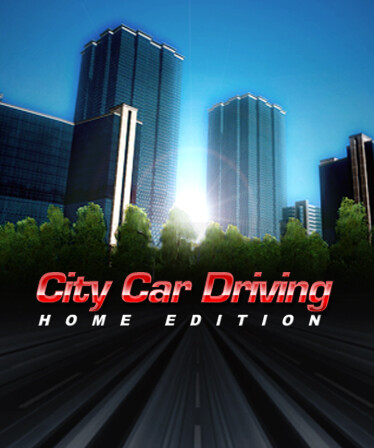 City Car Driving