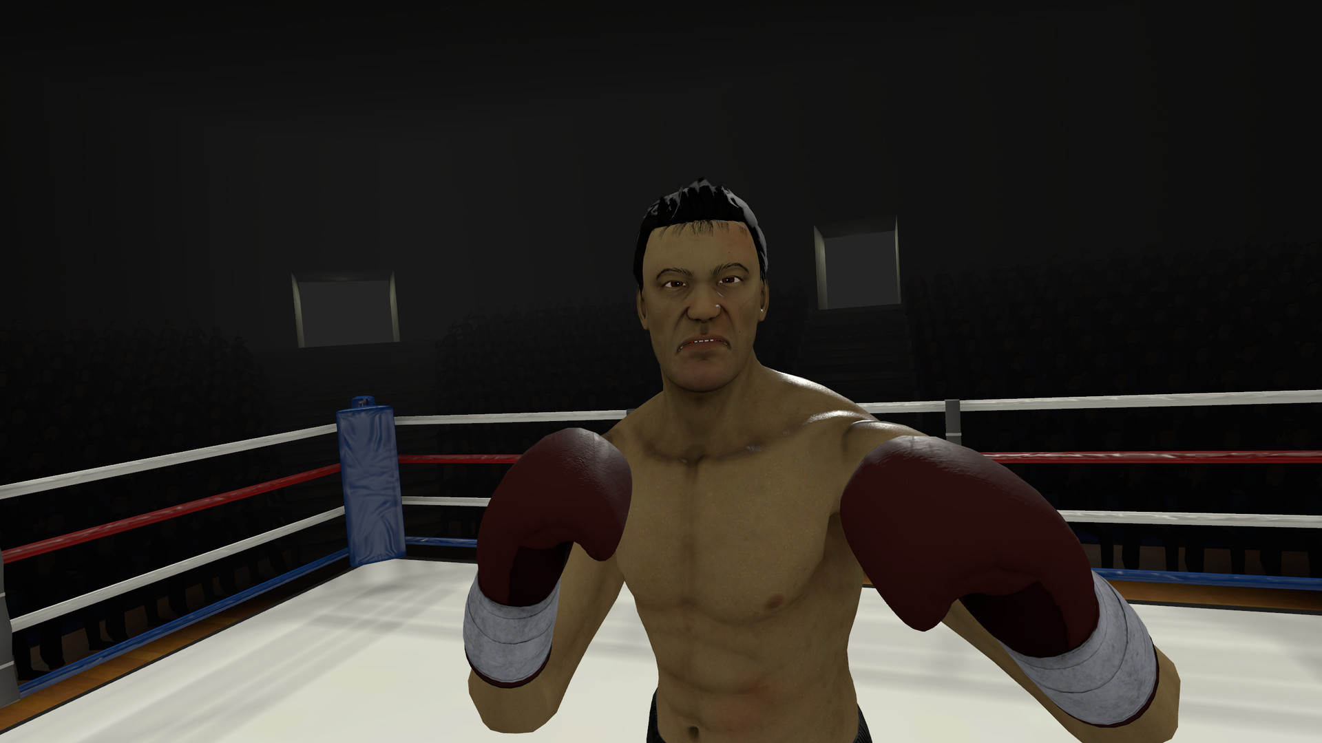 Игры бокс гта. The Thrill of the Fight VR. Симулятор боксера. Игра бокс от первого лица. Сент бокс игра.