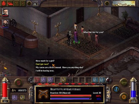 скриншот Arcanum: Of Steamworks and Magick Obscura 1