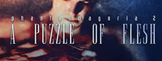 Phantasmagoria 2: A Puzzle of Flesh