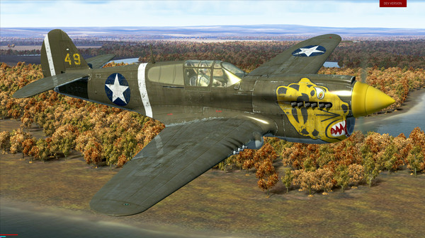 скриншот IL-2 Sturmovik: P-40E-1 Collector's Plane 0