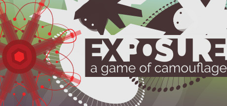 EXPOSURE, a game of camouflage Cover Image