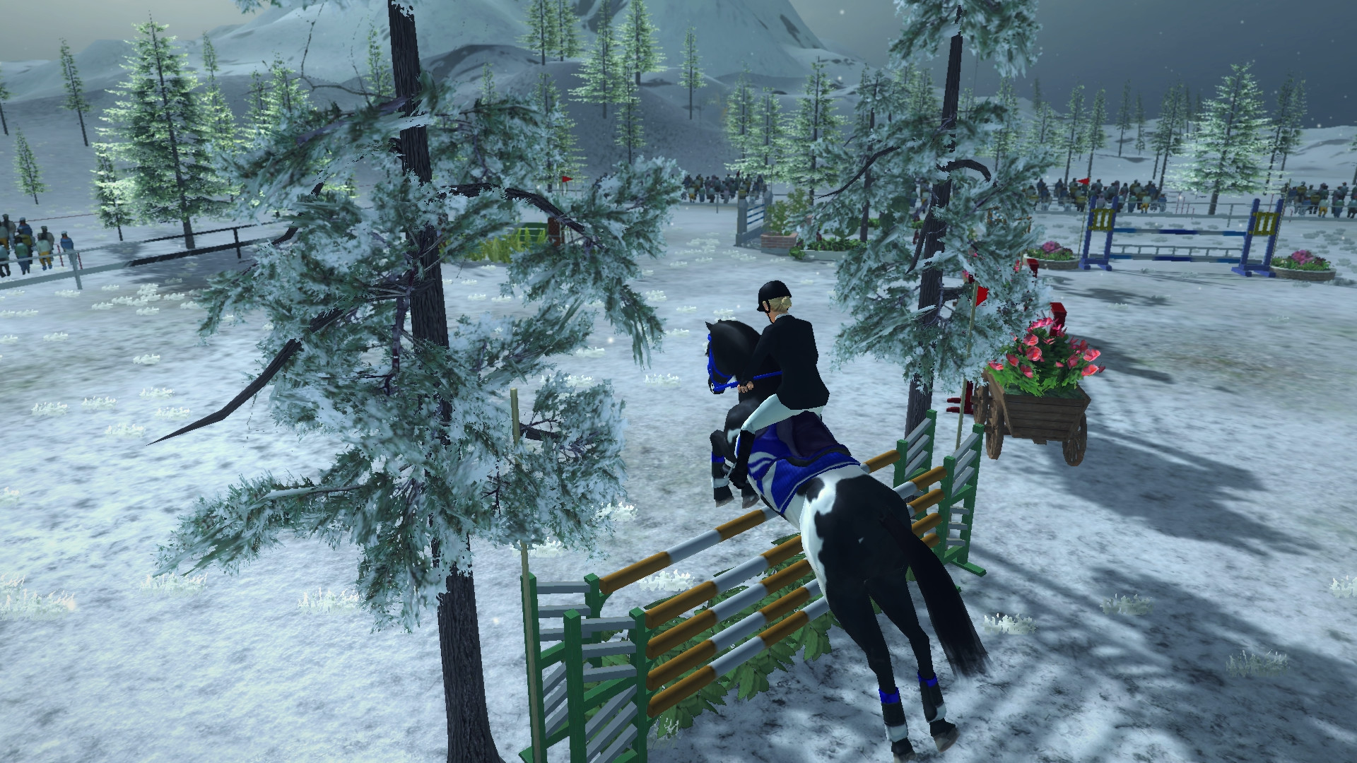 Riding Club Championships screenshot screenshot 13
