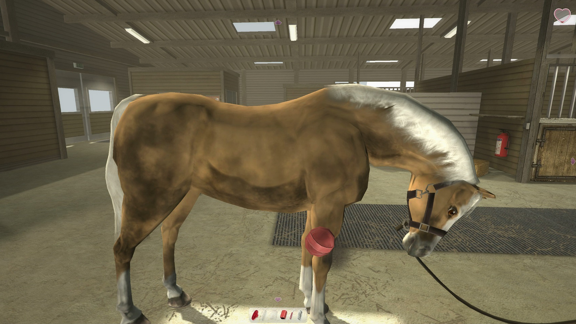 Riding Club Championships screenshot screenshot 8