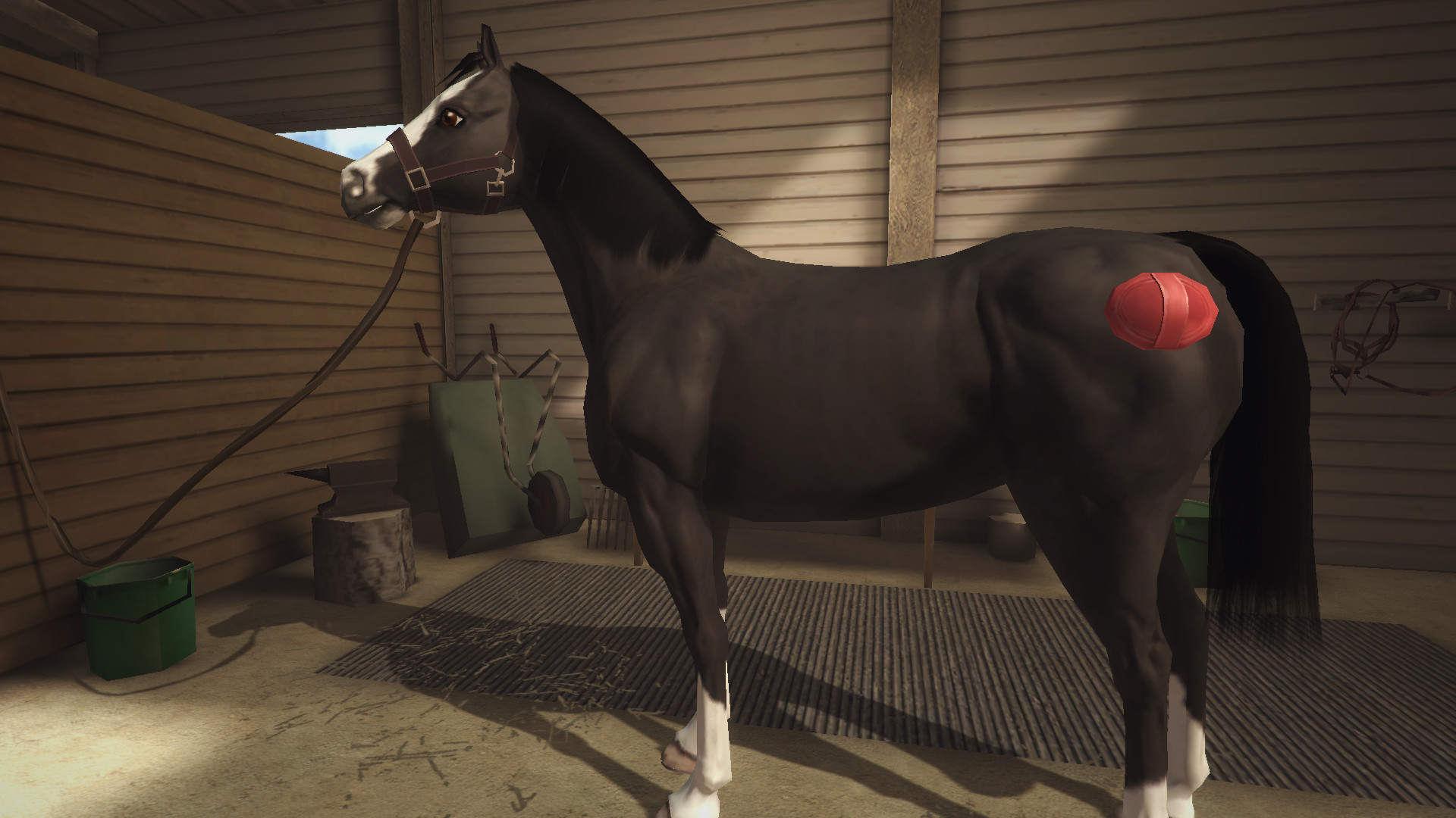 Riding Club Championships screenshot screenshot 9