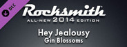 Rocksmith® 2014 Edition - Remastered – Gin Blossoms - “Hey Jealousy”