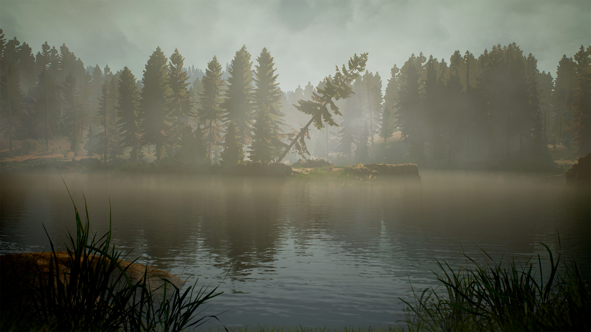 BIGFOOT Resimleri 