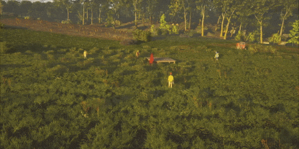base_build.gif