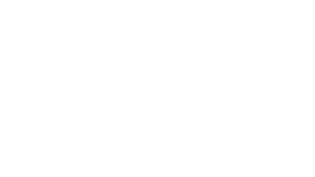 Observer