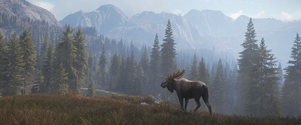 Save 73 On Thehunter Call Of The Wild On Steam
