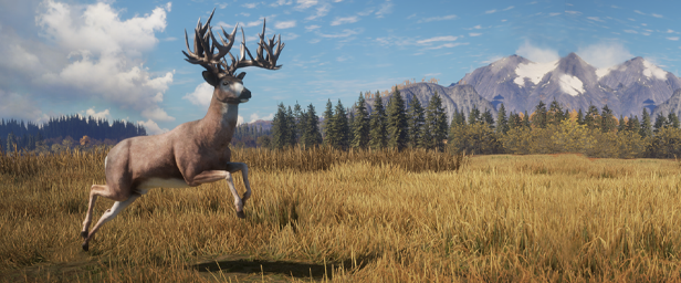 Save 73 On Thehunter Call Of The Wild On Steam
