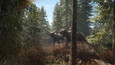 theHunter: Call of the Wild picture24
