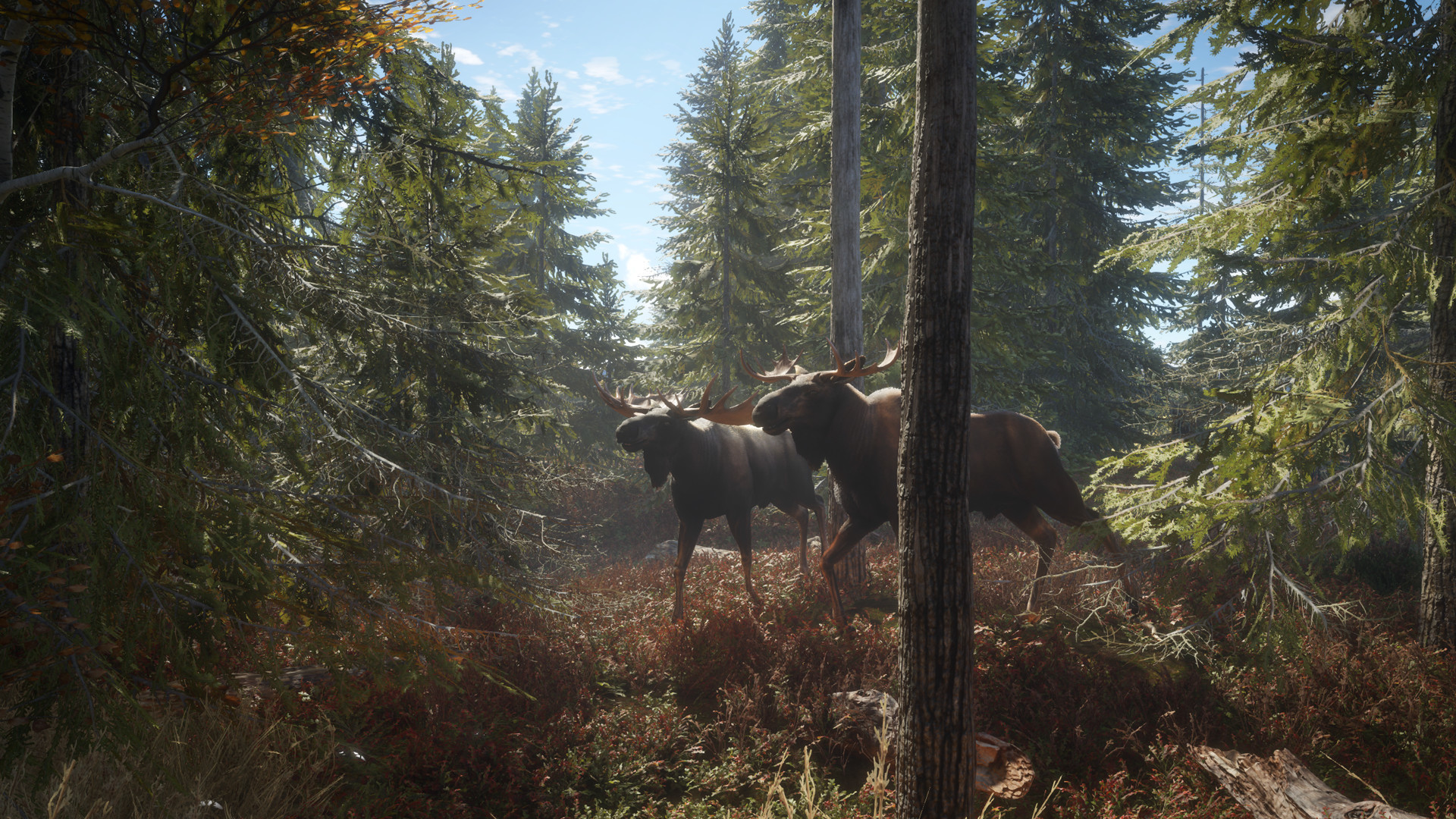 theHunter Call of the Wild Free Download