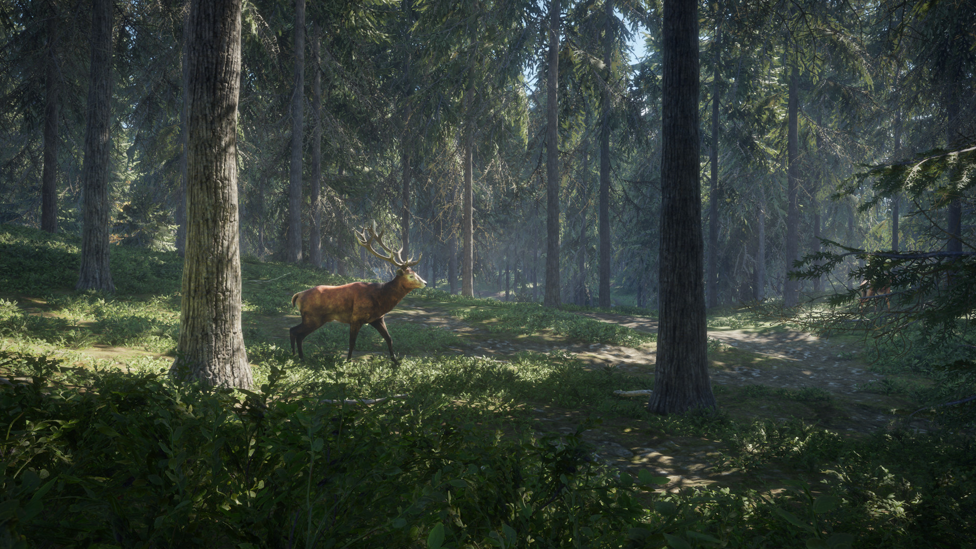 The Hunter Call of the Wild - Multiplayer Deer Hunting! - theHunter Call of the  Wild Beta Gameplay 