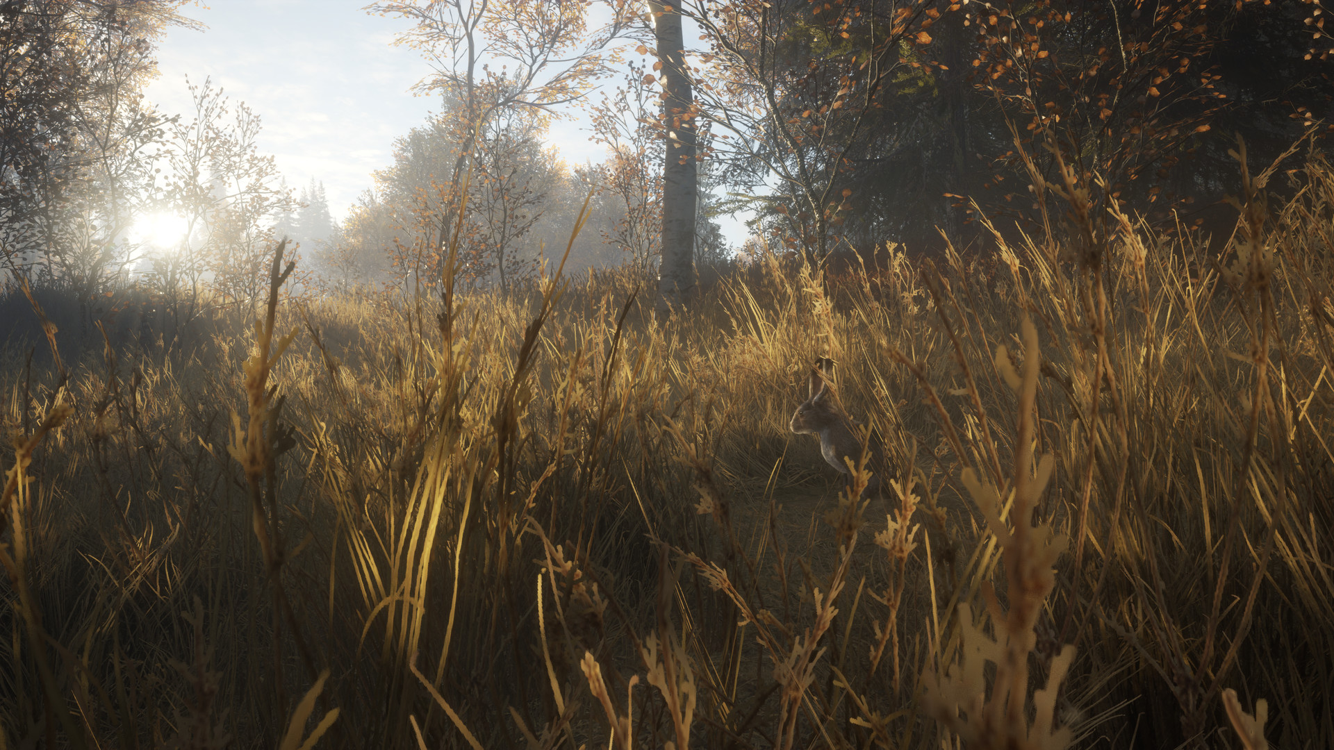 theHunter: Call of the Wild Gameplay Overview