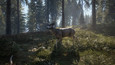 theHunter: Call of the Wild picture23