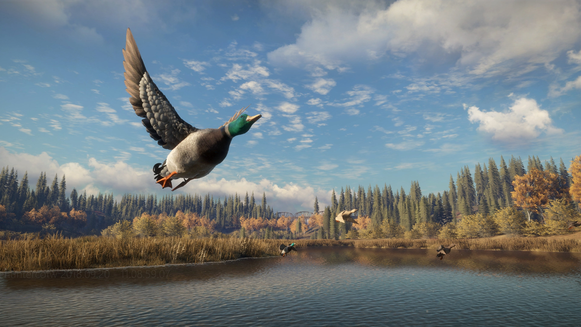  theHunter: Call of the Wild - PC : Video Games