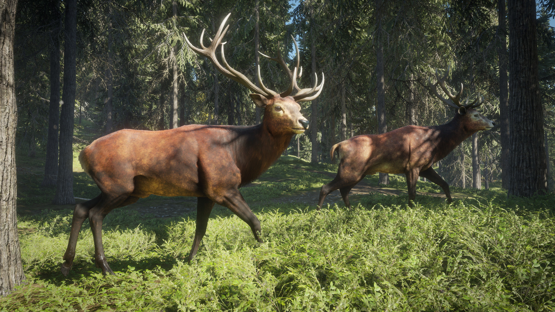 theHunter Call of the Wild Free Download