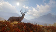 theHunter: Call of the Wild picture8