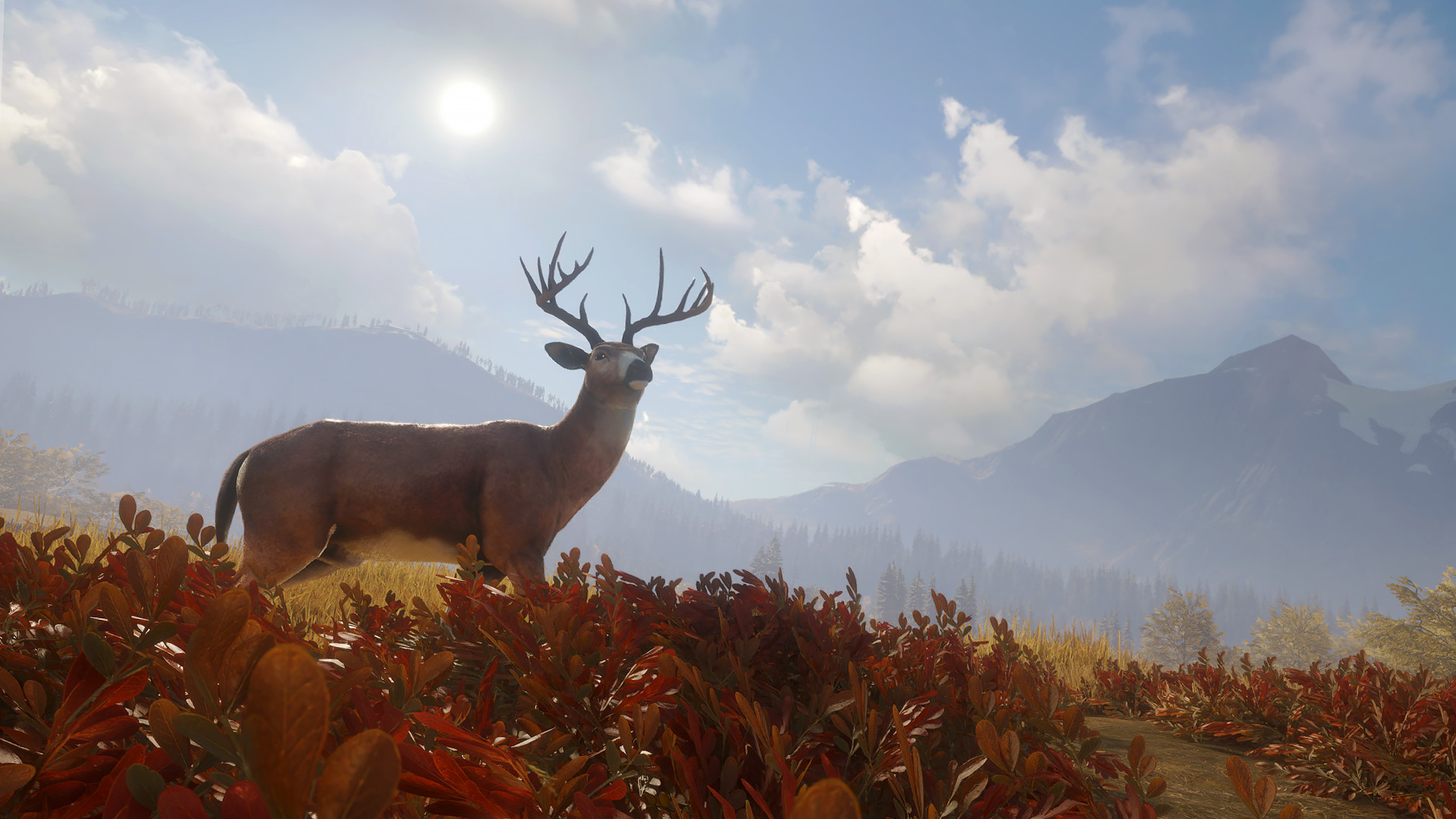 theHunter: Call of the Wild