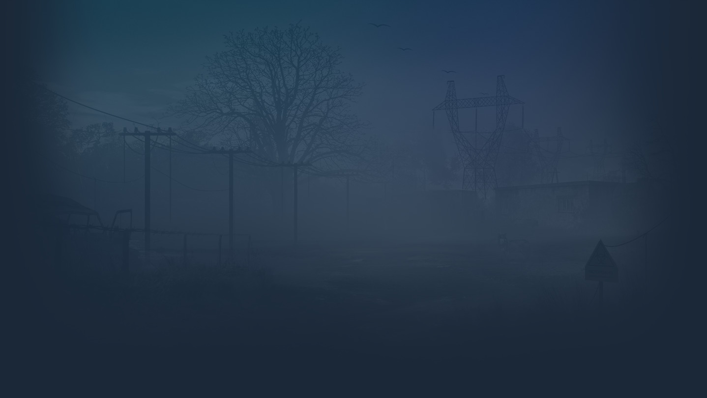 Next Day: Survival background