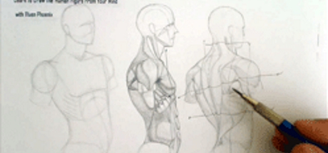 Complete Figure Drawing Course HD: 135 - The Muscles of The Torso - Part 16 banner
