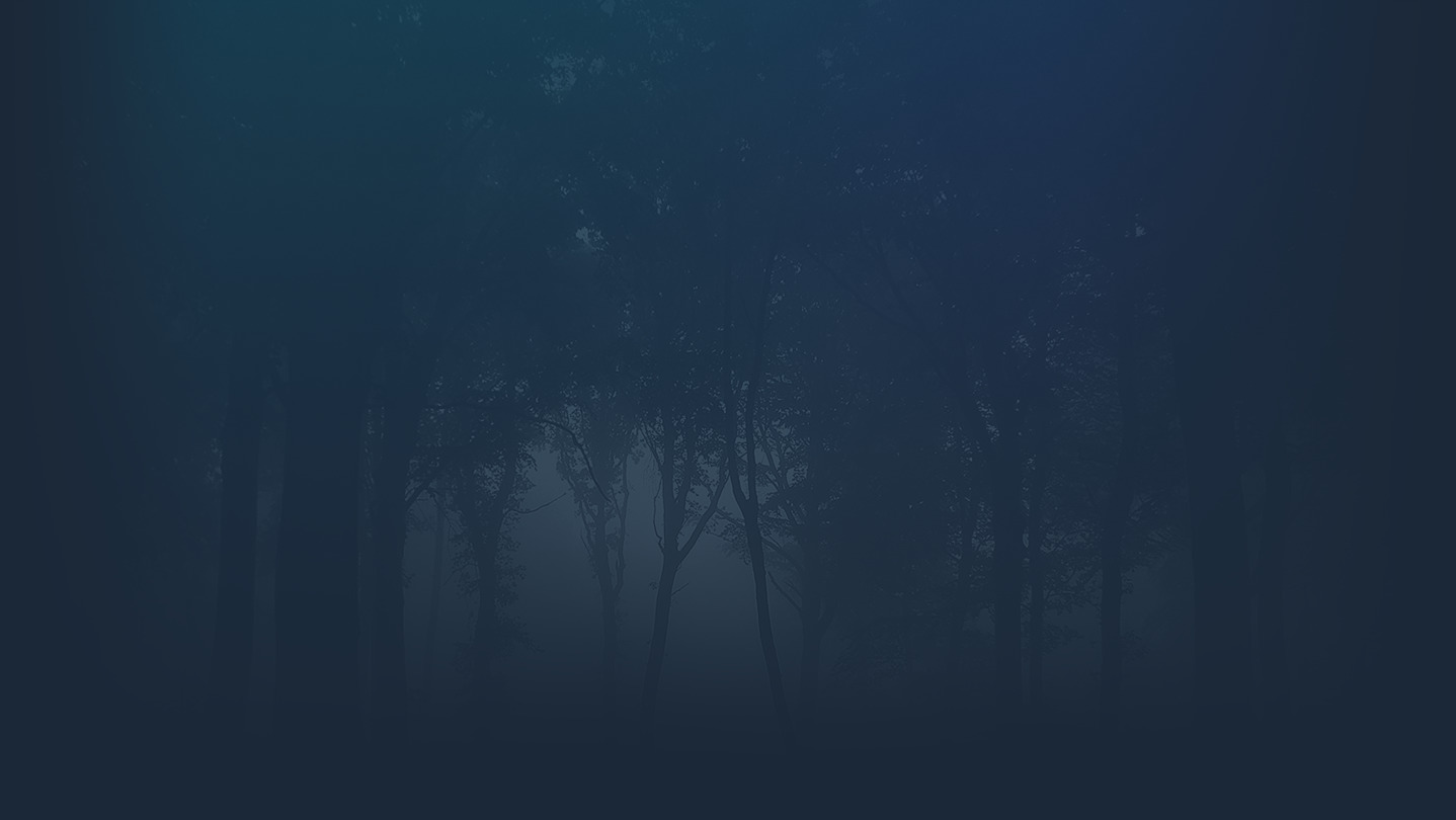 Black Forest background