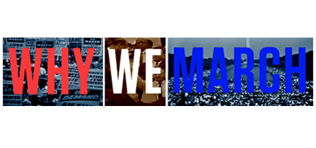 We The Voters: Why We March banner
