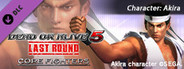 DEAD OR ALIVE 5 Last Round: Core Fighters Character: Akira