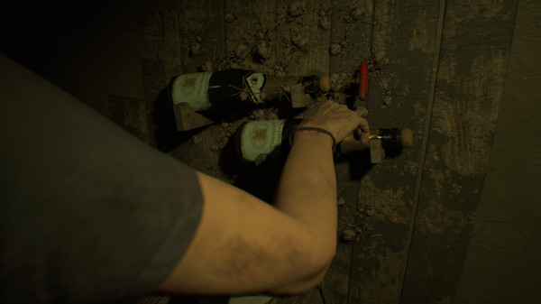 Banned Footage Vol.1 グロテスクVer. screenshot 8