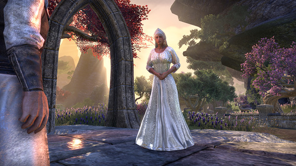 скриншот The Elder Scrolls Online - Crown Packs 2