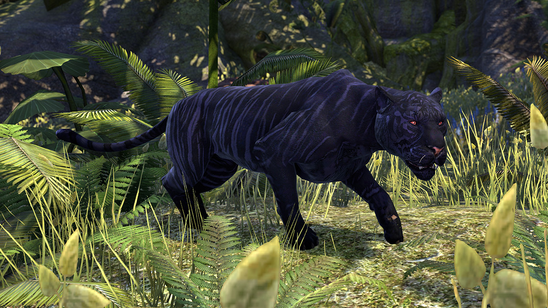 The Elder Scrolls Online - Crown Packs screenshot screenshot 4