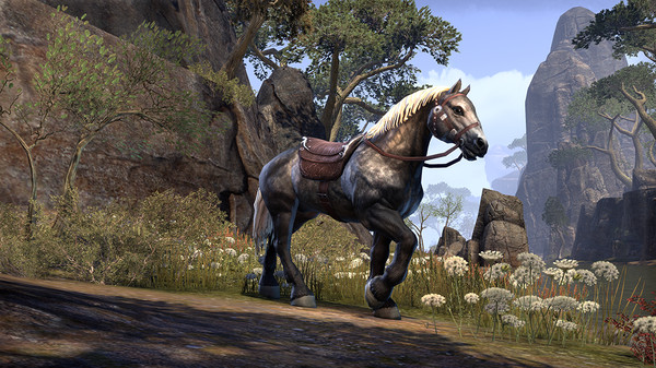 скриншот The Elder Scrolls Online - Crown Packs 3