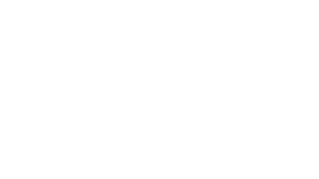 Sally Face