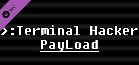 Terminal Hacker - Payload banner