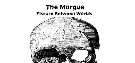 The Morgue Fissure Between Worlds steam charts