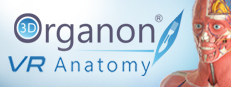 3D Organon VR Anatomy 2018 게임 이미지