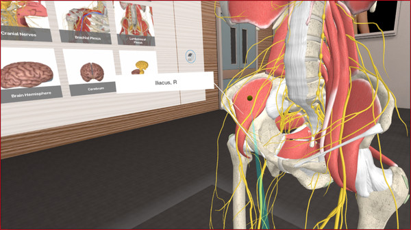 скриншот 3D Organon VR Anatomy 2