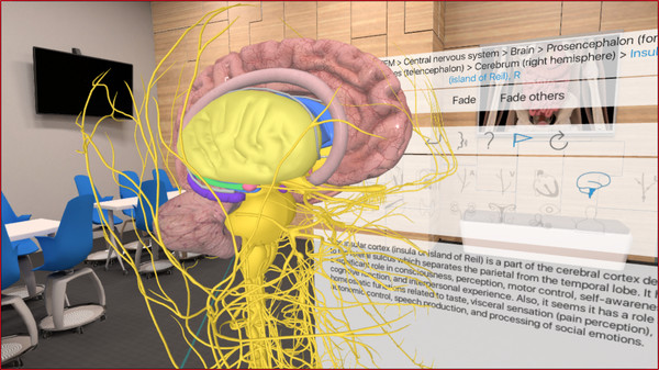 скриншот 3D Organon VR Anatomy 5