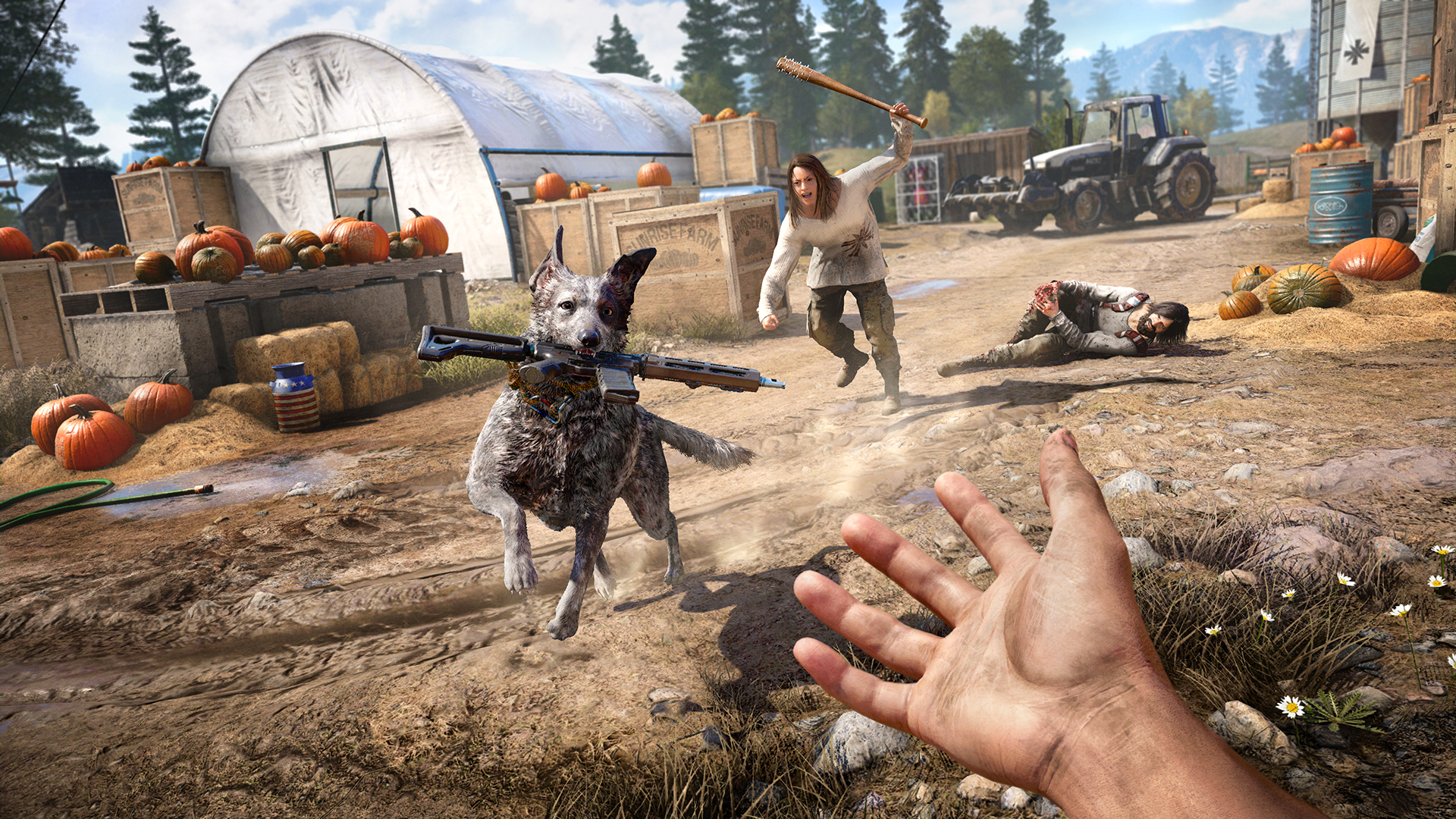 Far Cry 5 | Download Far Cry 5 for PC From Ubisoft – Epic Games Store