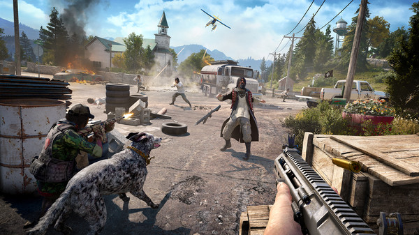 Far Cry 5 скриншот