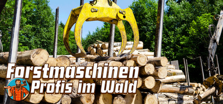 Game Banner Timber! The Logging Experts