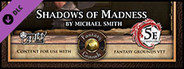 Fantasy Grounds - Mini-Dungeon #017: Shadows of Madness (5E)